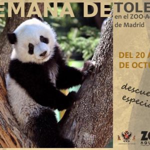 l Zoo de Madrid celebra la Semana de Toledo con descuentos de más del 40 por ciento para los toledanos en la semana del 20 al 28