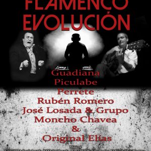 FLAMENCO EN EVOLUCION