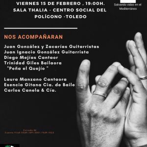 Concierto Solidario de Flamenco a Beneficio de PROEM-AID