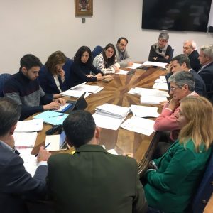 l Gobierno local reitera en la Comisión de Hacienda la apuesta del Presupuesto de 2019 por el empleo, la solidaridad y los barrios