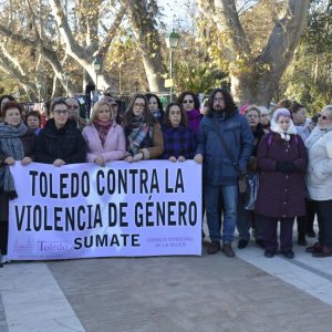 l Consejo de la Mujer denuncia a los partidos que quieren derogar el Pacto Estatal y las leyes autonómicas contra la violencia de género