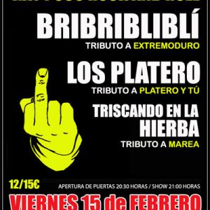 Festival de Tributos.-HAY POCO ROCK AND ROLL