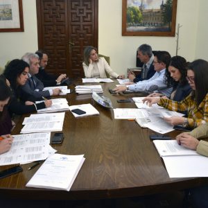 probados los cánones concesionales de las Escuelas Infantiles y el programa de Carnaval