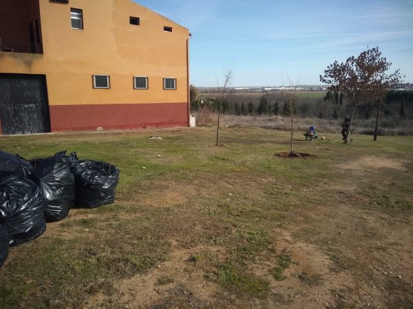 PARQUE DE LOS ALMENDROS DESPUÉS