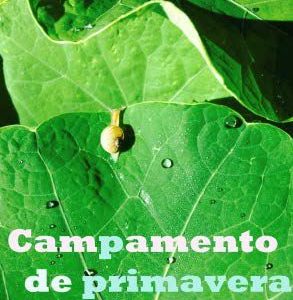 CAMPAMENTO DE PRIMAVERA: “MIRADAS”