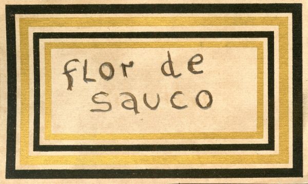 119_Flor de Sauro