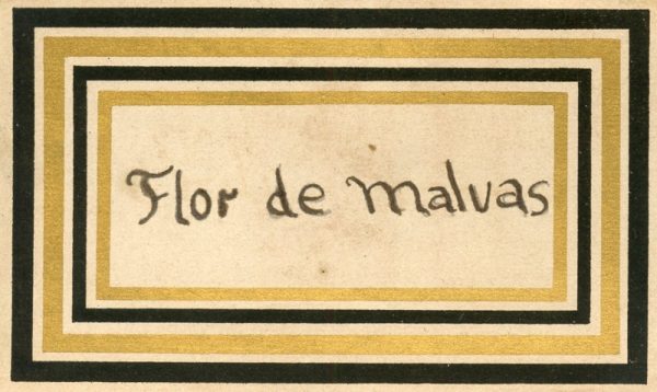 120_Flor de Malvas