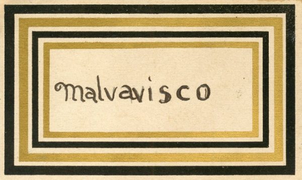 144_Malvavisco