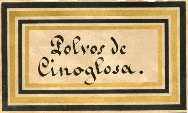 156_Polvos de cinoglosa