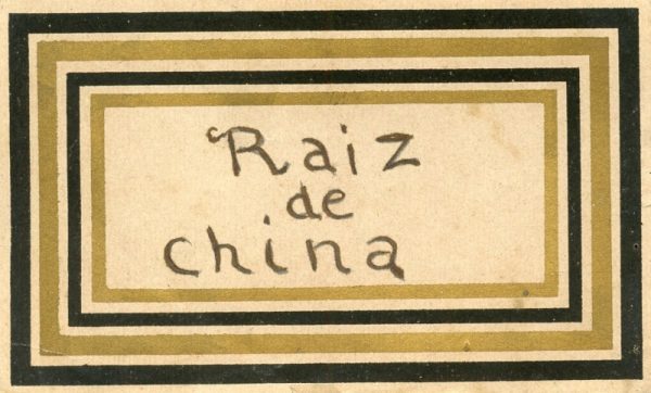 160_Raíz de China