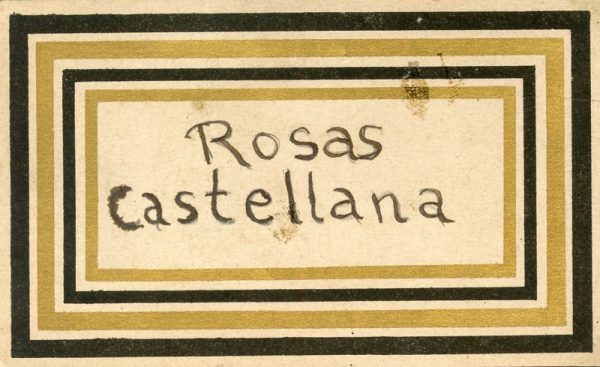 163_Rosas Castellana