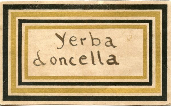 219_Yerba Doncella