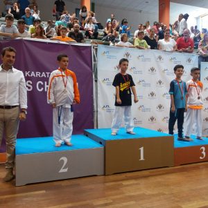 na treintena de clubes se dan cita en el II Trofeo Corpus de Kárate organizado con motivo de la Semana Grande de Toledo