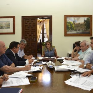 a Junta de Gobierno concede la licencia a apertura y funcionamiento a Puy du Fou