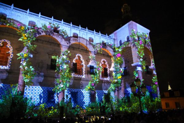 05_luz_toledo