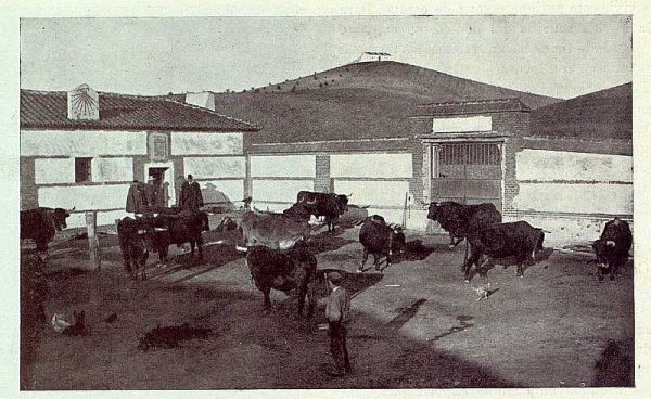 134_TRA-1923-191-La casona de San Martín de Pusa, corral-01