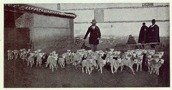 135_TRA-1923-191-La casona de San Martín de Pusa, corral-02