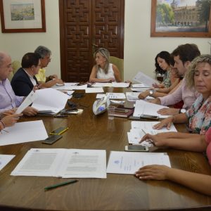 ijadas las fiestas locales para 2020: 23 de enero y 9 de diciembre