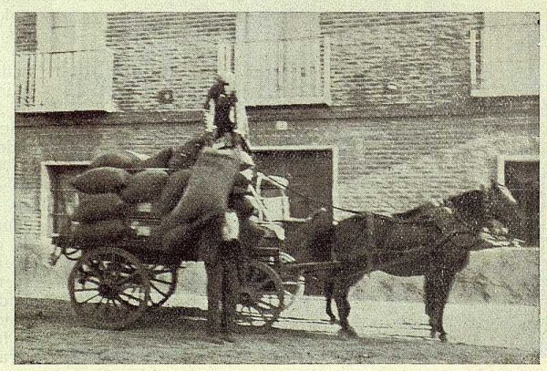 234_TRA-1923-197-Marcelino Suela, almacén de coloniales, cargando en los almacenes