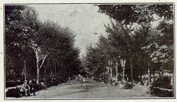 248_TRA-1923-197-Vista del Paseo del Prado