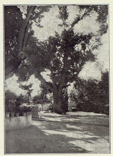 319_TRA-1922-181-Palacio de Buenavista, entrada-Foto Rodríguez