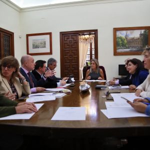 a Junta de Gobierno Local aprueba el proyecto de mejora de alumbrado público en la calle Tiétar y aledañas