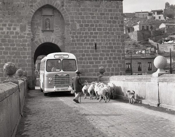 079-AKE_119_Un autobús y un rebaño se encuentran en el puente de San Martín