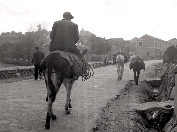 123-AKE_126_Carretera de Piedrabuena