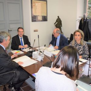 a alcaldesa de Toledo participa en calidad de vicepresidenta en la primera Junta de Gobierno de la FEMP de 2020