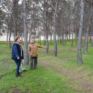 l Ayuntamiento interviene en el pinar de la N-400 a la altura de la calle Río Sagreda donde lleva a cabo actuaciones de mantenimiento