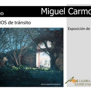 Exposición: Espacios de tránsito, de Miguel Carmona