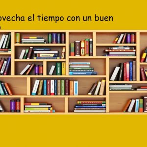 ía del Libro 2020 en las Bibliotecas del Ayuntamiento de Toledo. Lecturas de inspiración para aprovechar el tiempo en casa