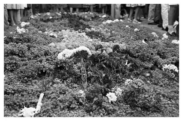 08_Fiestas del Corpus de 1982_Foto de Enrique Sánchez Lubián