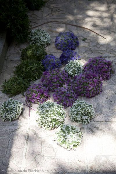 Adornos Florales (Corpus Christi 2011) 027