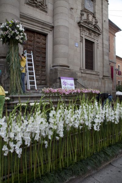 Corpus Christi 2010. Adornos Florares 024