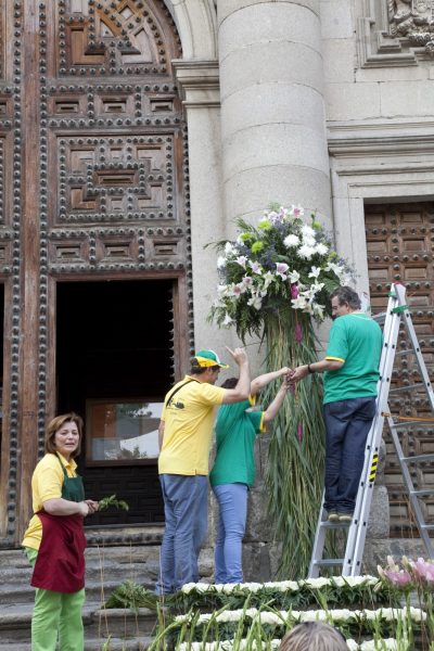 Corpus Christi 2010. Adornos Florares 039