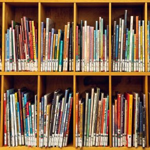 as Bibliotecas Municipales reabren sus puertas el 15 de junio con nuevas normas de uso para préstamos, estudios y lectura