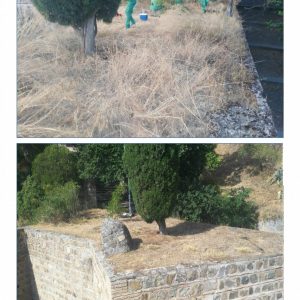 rabajadores del Plan de Empleo del Ayuntamiento continúan con tareas de mejora del entorno urbano y medioambiental