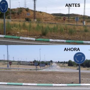 os trabajos de limpieza y desbroce continúan en espacios como el puente de San Martín, avenida de América o Azucaica