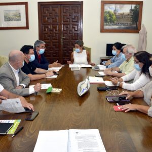 l Gobierno local adjudica por 293.000 euros la renovación del alumbrado público de la calle Río Guadarrama