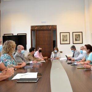 bras de mejora de eficiencia y sostenibilidad de alumbrado público por 220.000 euros