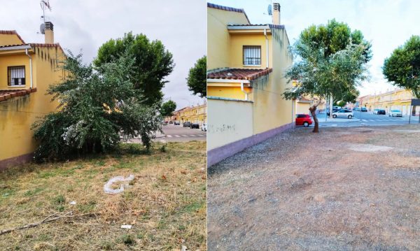 Antes y después Calle Erika 03