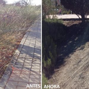 l Ayuntamiento realiza la limpieza y mantenimiento de instalaciones, talleres y espacios patrimoniales a través del Plan de Empleo