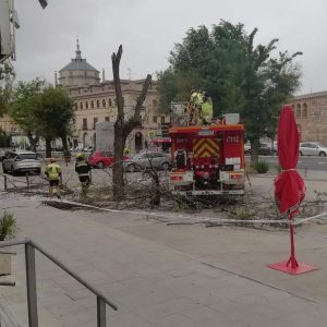 olicía Local y Bomberos atienden 30 incidencias en Toledo a causa de las fuertes rachas de viento