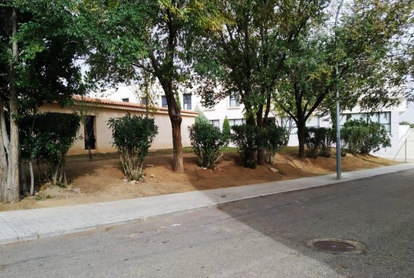 Calle Girasol Azucaica Ahora