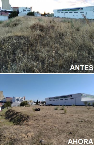 PlanEmpleo (3)