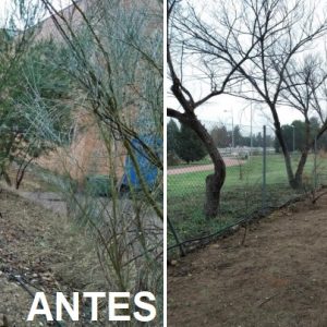 l Ayuntamiento intensifica la labor de desbroce y recogida de residuos en suelo municipal antes de las fiestas navideñas