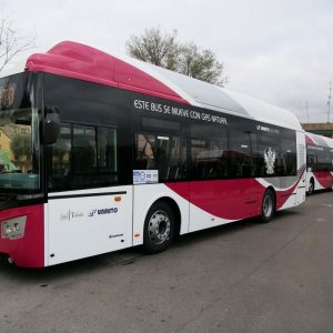 l Servicio de Transporte Urbano recupera la normalidad este domingo a las 15:00 horas y los autobuses regresan a Zocodover