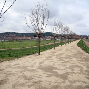 a Senda de las Moreras de la Vega Baja, seleccionada en la XI Bienal Internacional de Paisaje de Barcelona