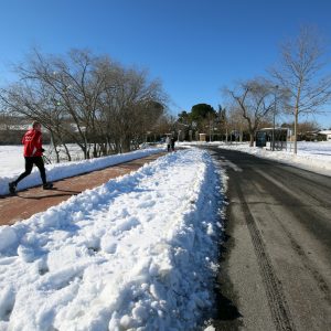 l dispositivo extraordinario de limpieza continúa en todos los barrios para retomar la normalidad de manera paulatina